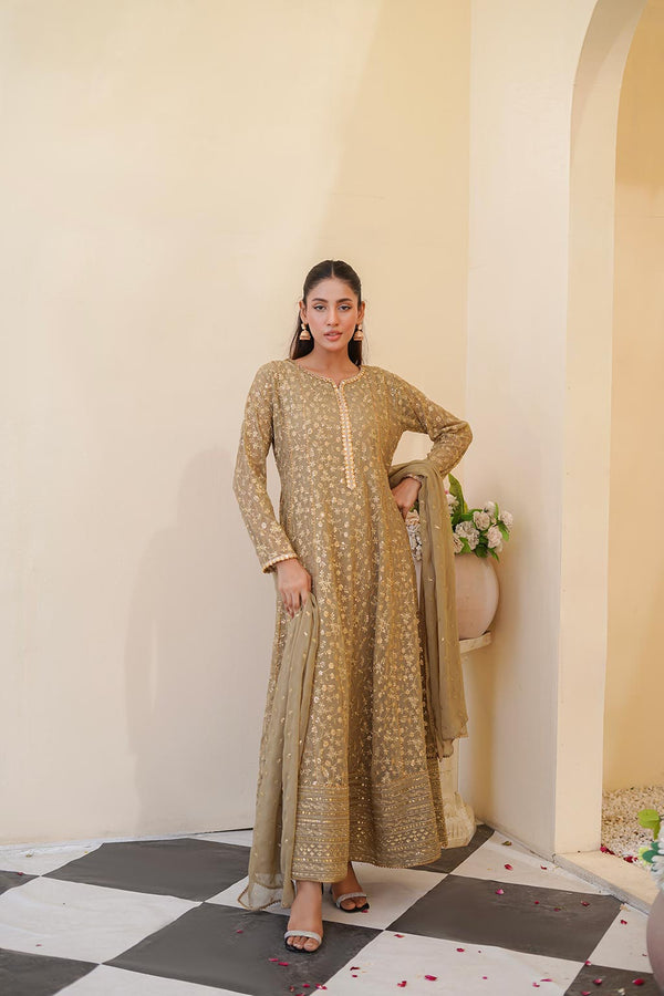 Ayesha Closet  - Sawariy 3Pcs Pret Chiffon Embroidered Beige
