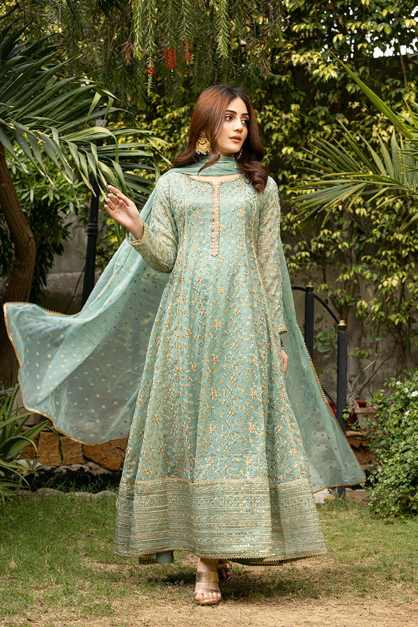 Ayesha Closet  - Sawariy 3Pcs Pret Chiffon Embroidered Pastel Green