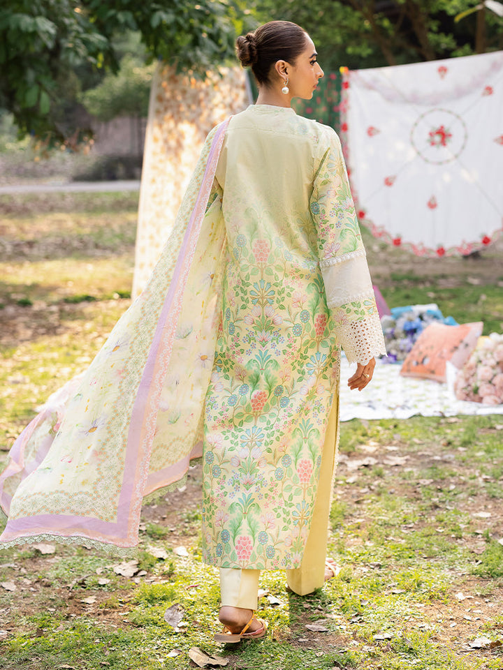 Eastka Latest Collection 2025 | Eastka 