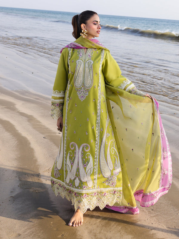 Eastka Latest Collection 2025 | Eastka 