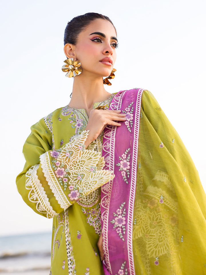 Eastka Latest Collection 2025 | Eastka 