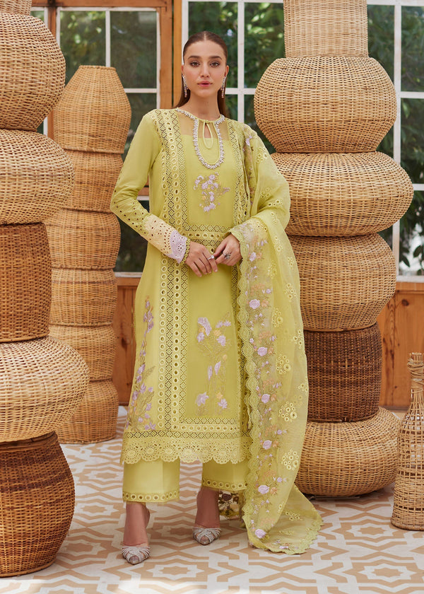 Eastka Latest Collection 2025 | Eastka 