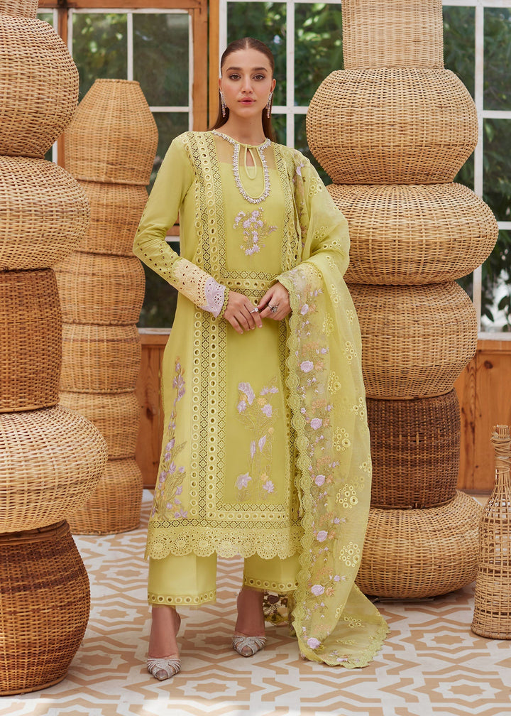 Eastka Latest Collection 2025 | Eastka 