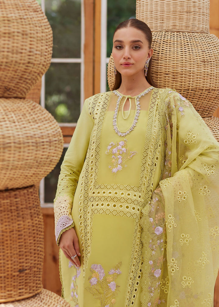 Eastka Latest Collection 2025 | Eastka 
