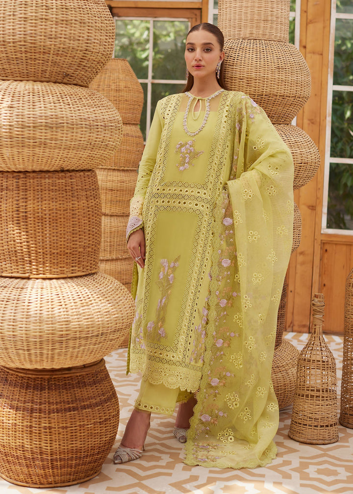 Eastka Latest Collection 2025 | Eastka 
