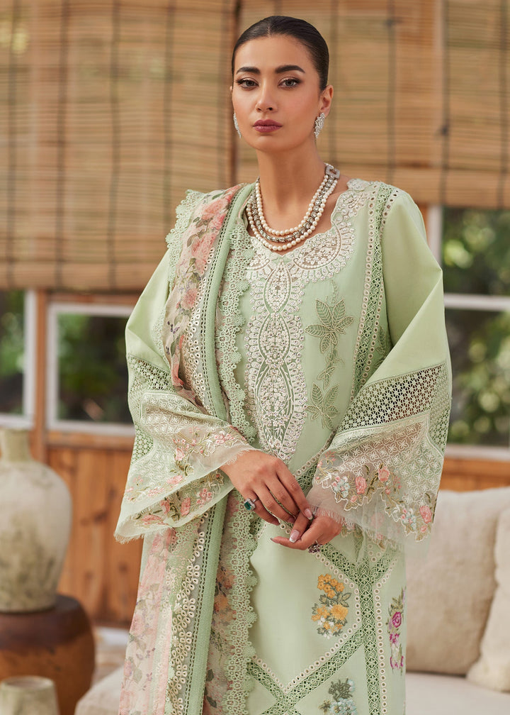 Eastka Latest Collection 2025 | Eastka 