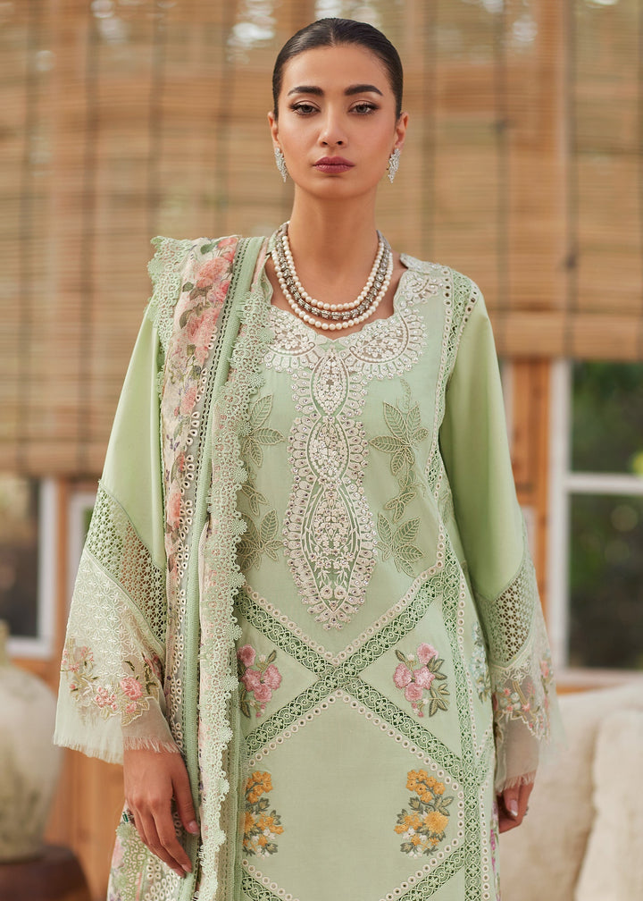 Eastka Latest Collection 2025 | Eastka 
