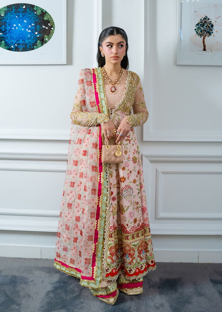 Eastka Latest Collection 2025 | Eastka 