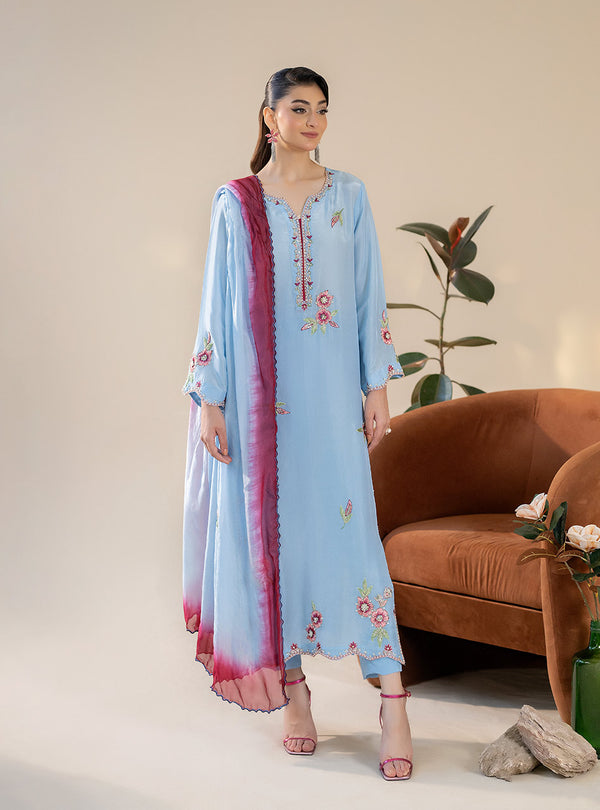 Mahnoor Azher - Aiza Stitched Sky Blue Hand Worked Resham and Tilla Embroidery