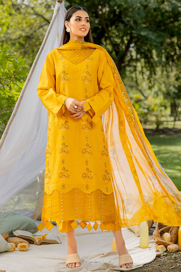 Eastka Latest Collection 2025 | Eastka 