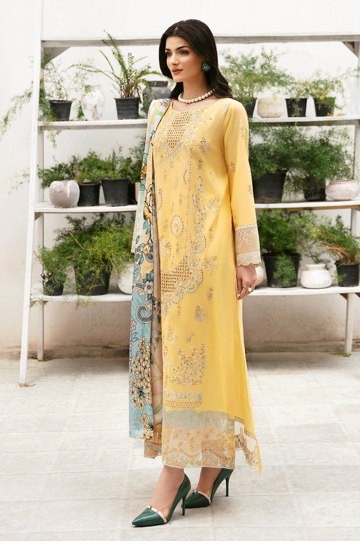 Eastka Latest Collection 2025 | Eastka 