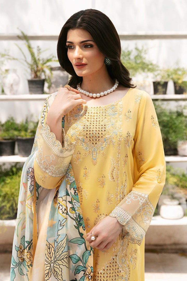 Eastka Latest Collection 2025 | Eastka 