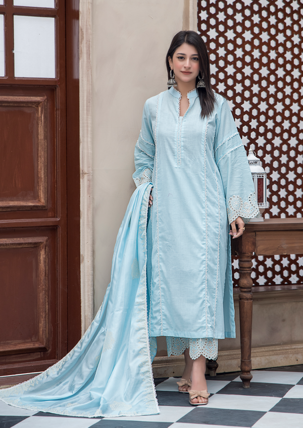 YoloPret - Stitched 3Pc Shiffli Embroidered with Block Printed Tissue Silk Dupatta JASHAN-S25-0069