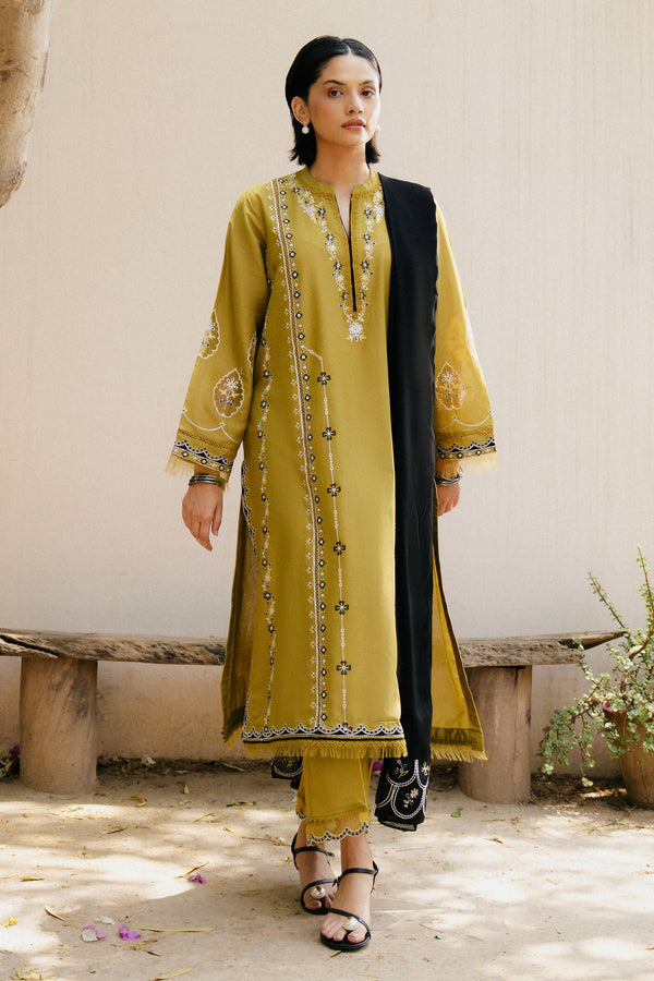 Zarashahjahan - CR25P0538