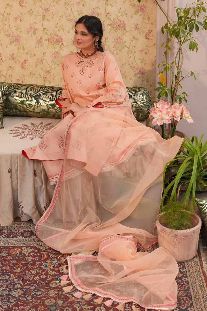 Eastka Latest Collection 2025 | Eastka 