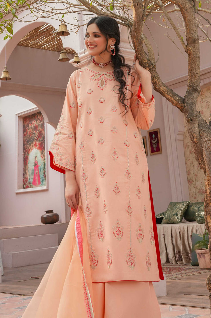 Eastka Latest Collection 2025 | Eastka 