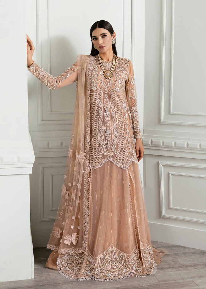 Eastka Latest Collection 2025 | Eastka 