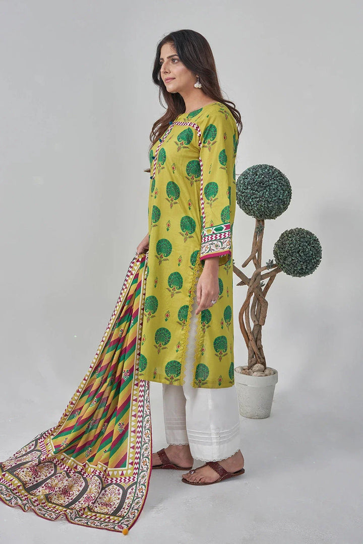 Eastka Latest Collection 2025 | Eastka 