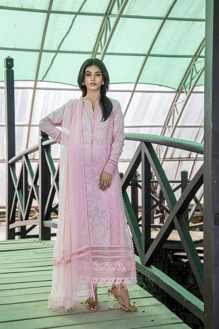 Eastka Latest Collection 2025 | Eastka 