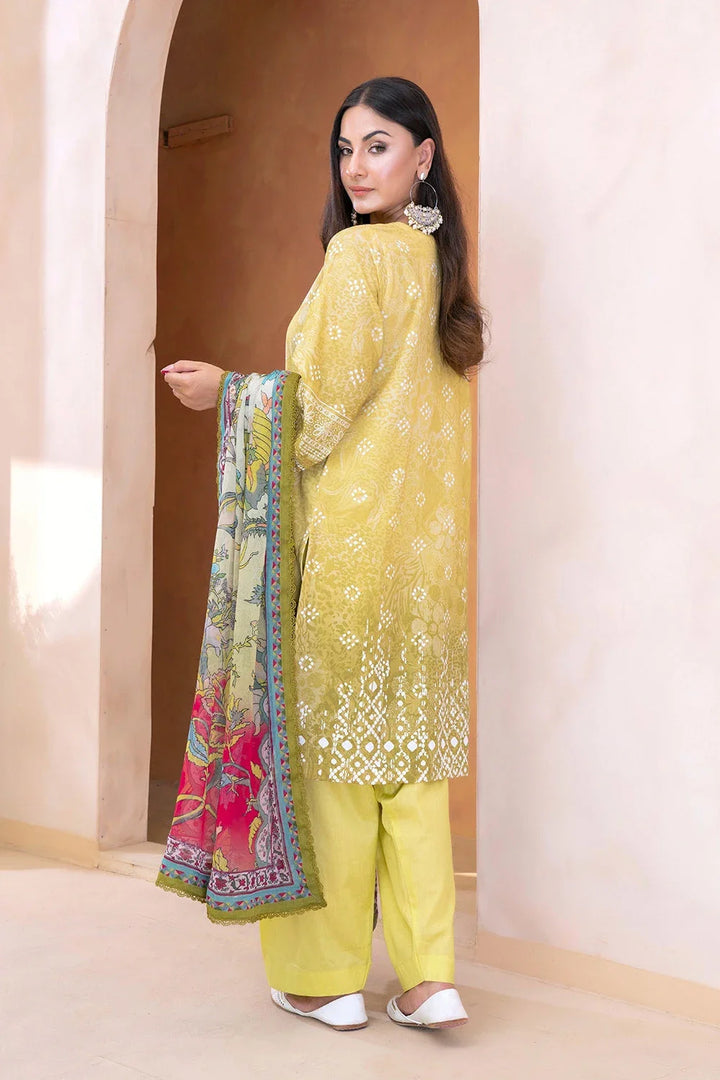 Eastka Latest Collection 2025 | Eastka 