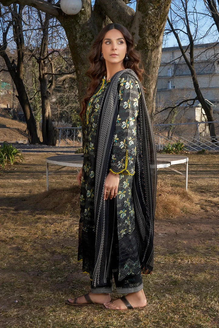 Eastka Latest Collection 2025 | Eastka 