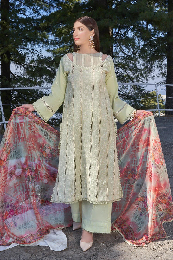 Eastka Latest Collection 2025 | Eastka 