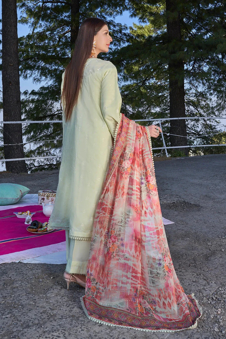 Eastka Latest Collection 2025 | Eastka 