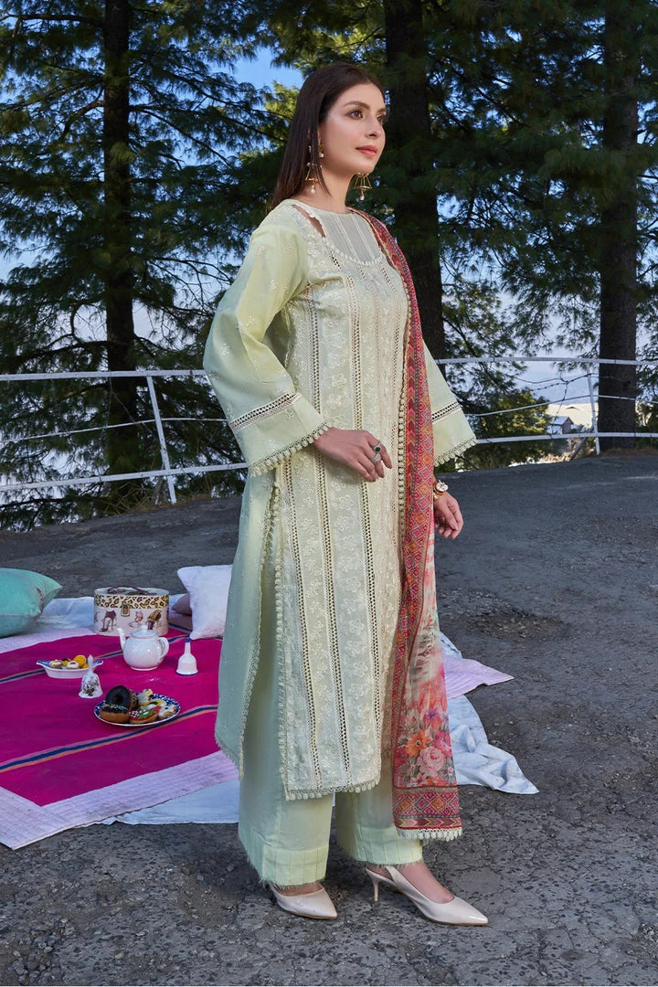 Eastka Latest Collection 2025 | Eastka 