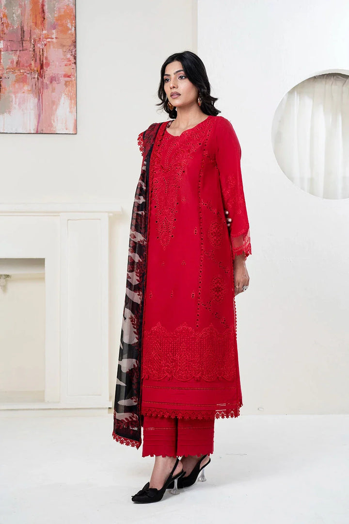 Eastka Latest Collection 2025 | Eastka 