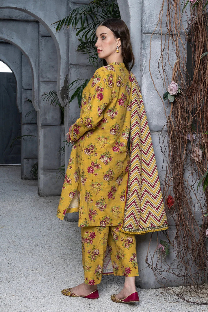 Eastka Latest Collection 2025 | Eastka 