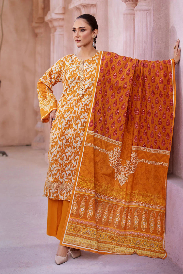 Eastka Latest Collection 2025 | Eastka 