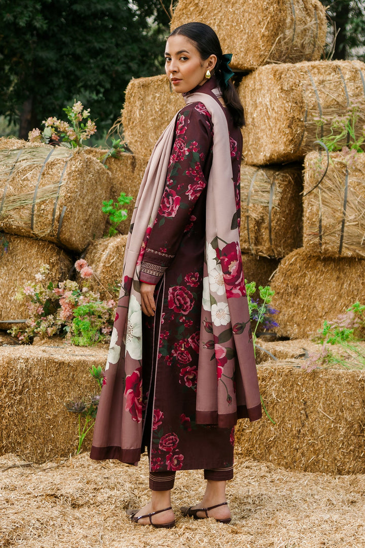 Eastka Latest Collection 2025 | Eastka 