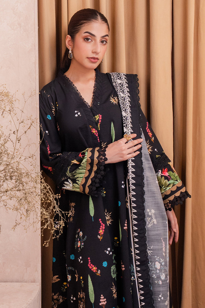 Eastka Latest Collection 2025 | Eastka 