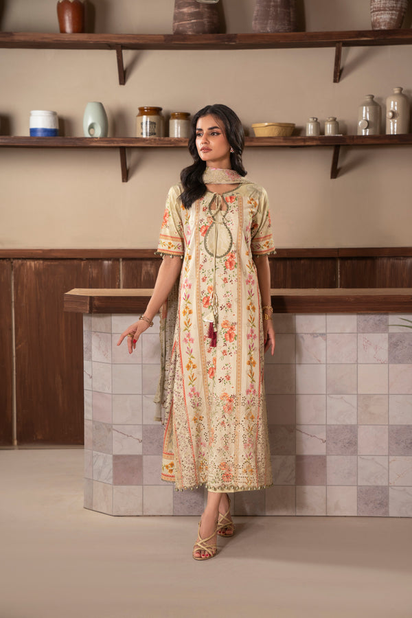 Firdous - D713 - Collection Embroidered Women Winter Wear Dress