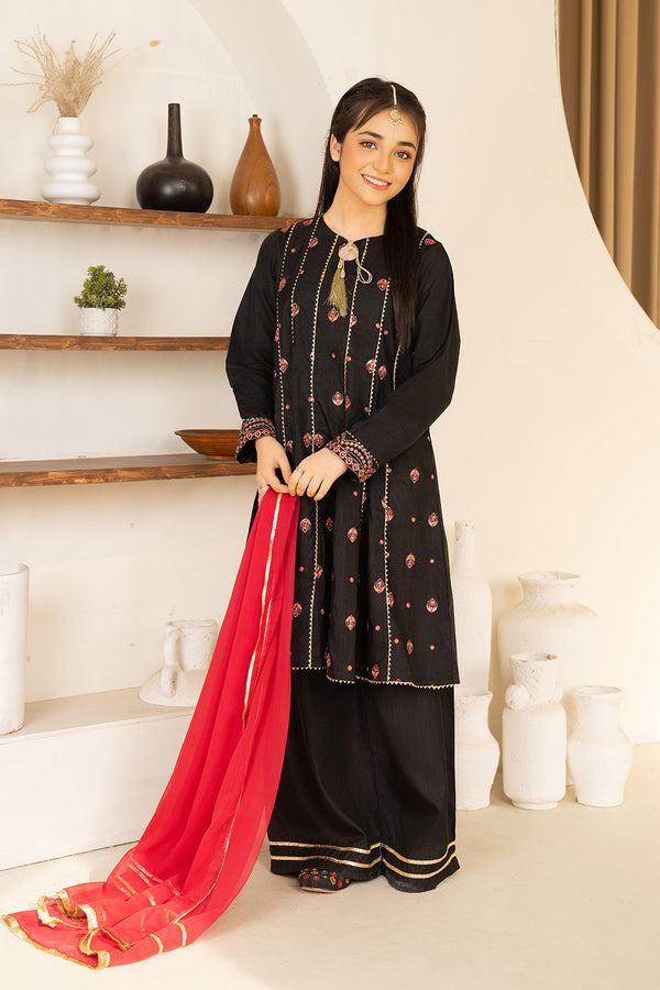 Daisy Outfit - Tara 2 PC Embroidered Black Raw Silk Festive/Party Wear
