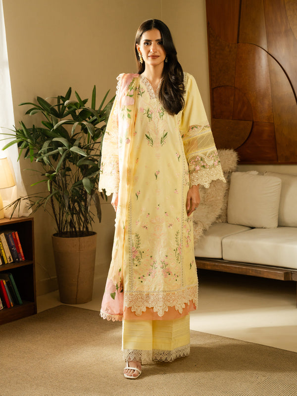 Eastka Latest Collection 2025 | Eastka 