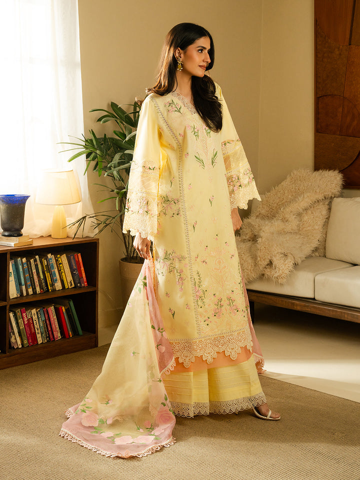Eastka Latest Collection 2025 | Eastka 