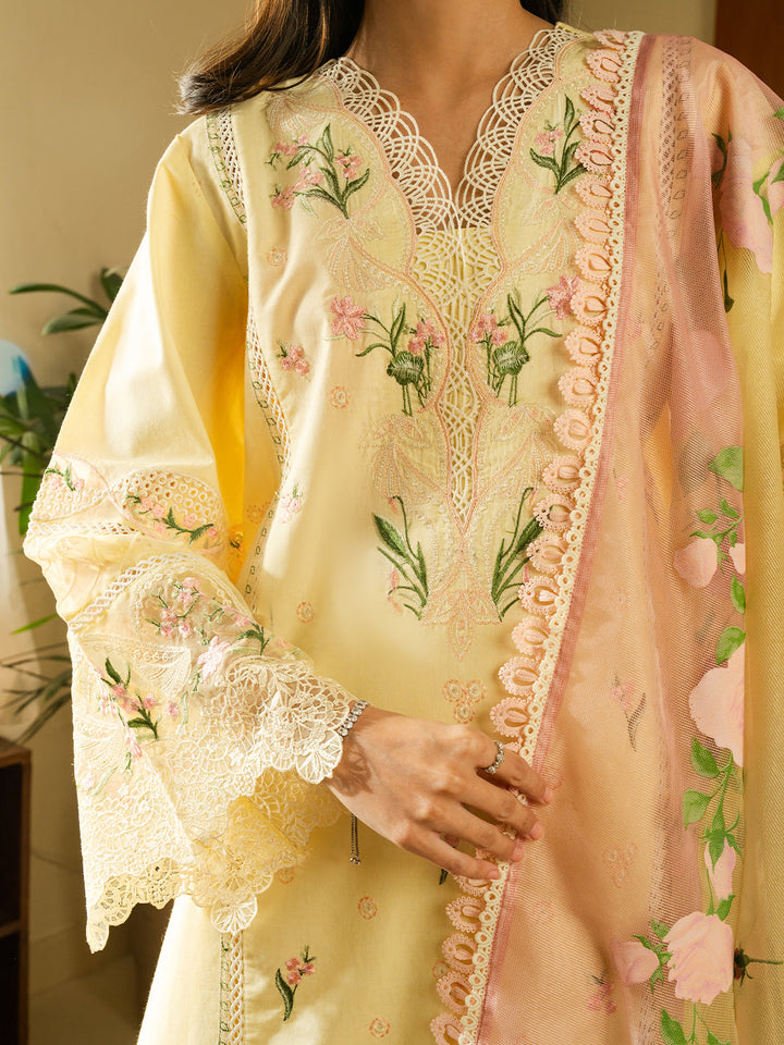 Eastka Latest Collection 2025 | Eastka 