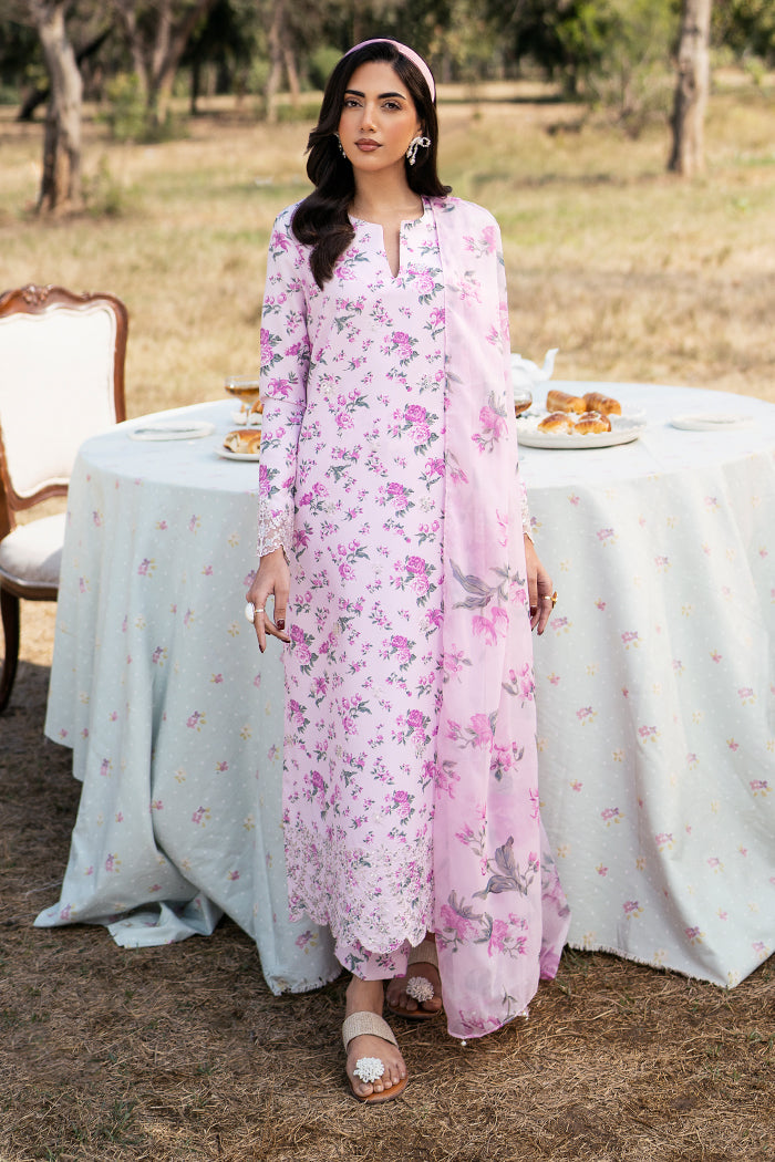 Eastka Latest Collection 2025 | Eastka 