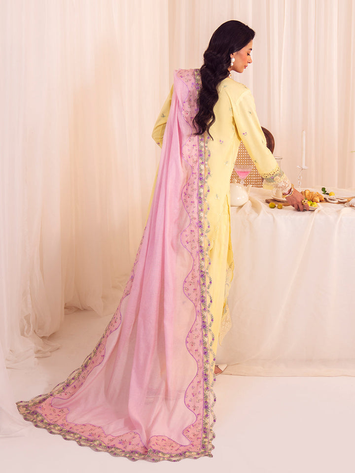 Eastka Latest Collection 2025 | Eastka 