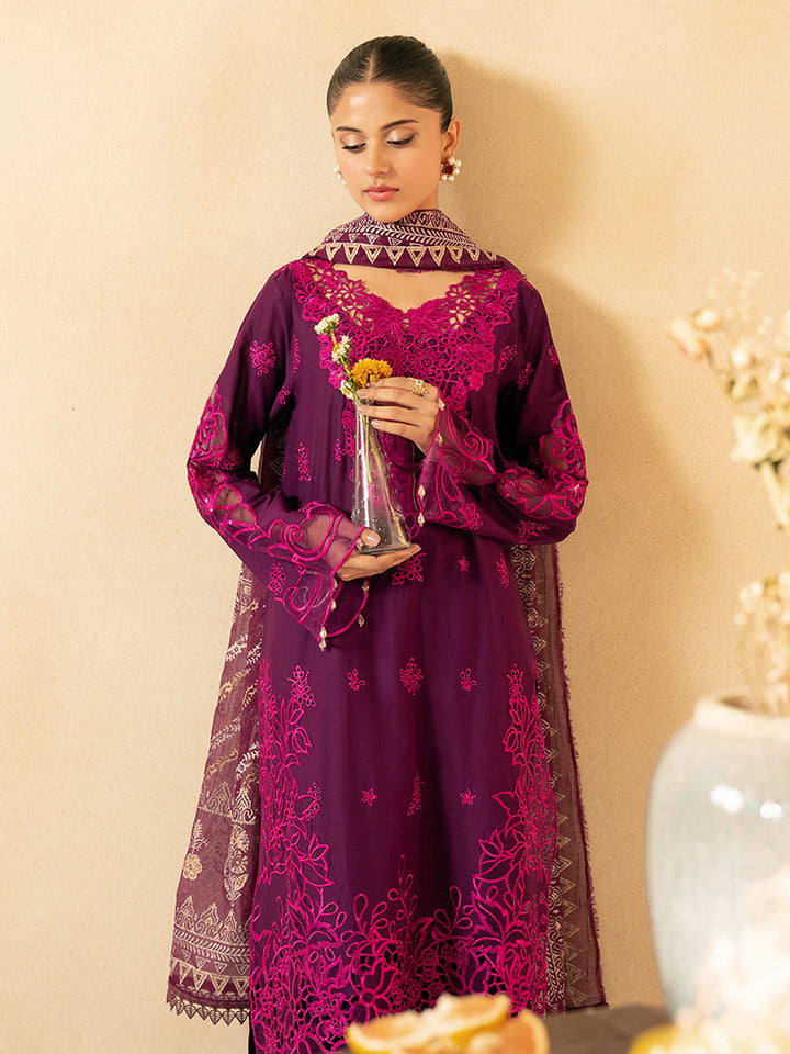 Eastka Latest Collection 2025 | Eastka 