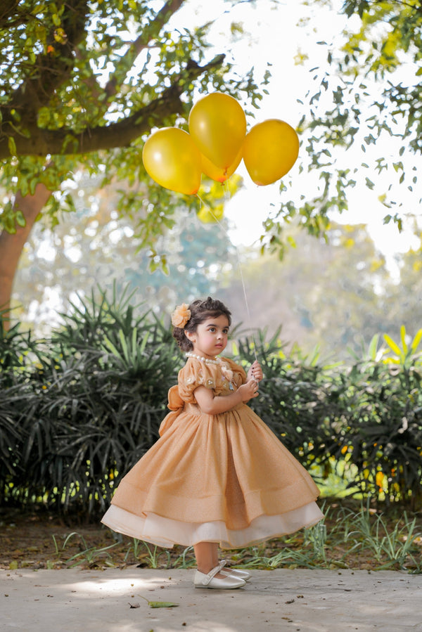 Fairy Tale - Dull Gold Onyx Festive Wear Dress