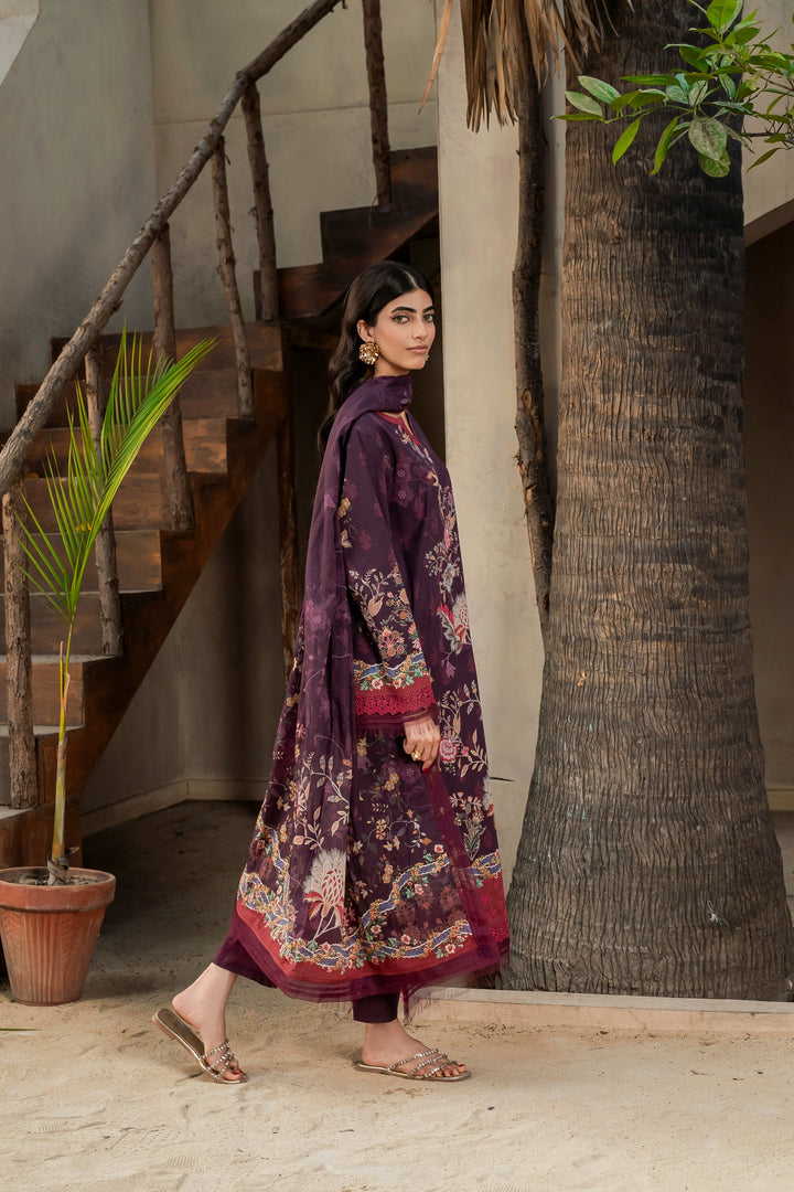 Eastka Latest Collection 2025 | Eastka 