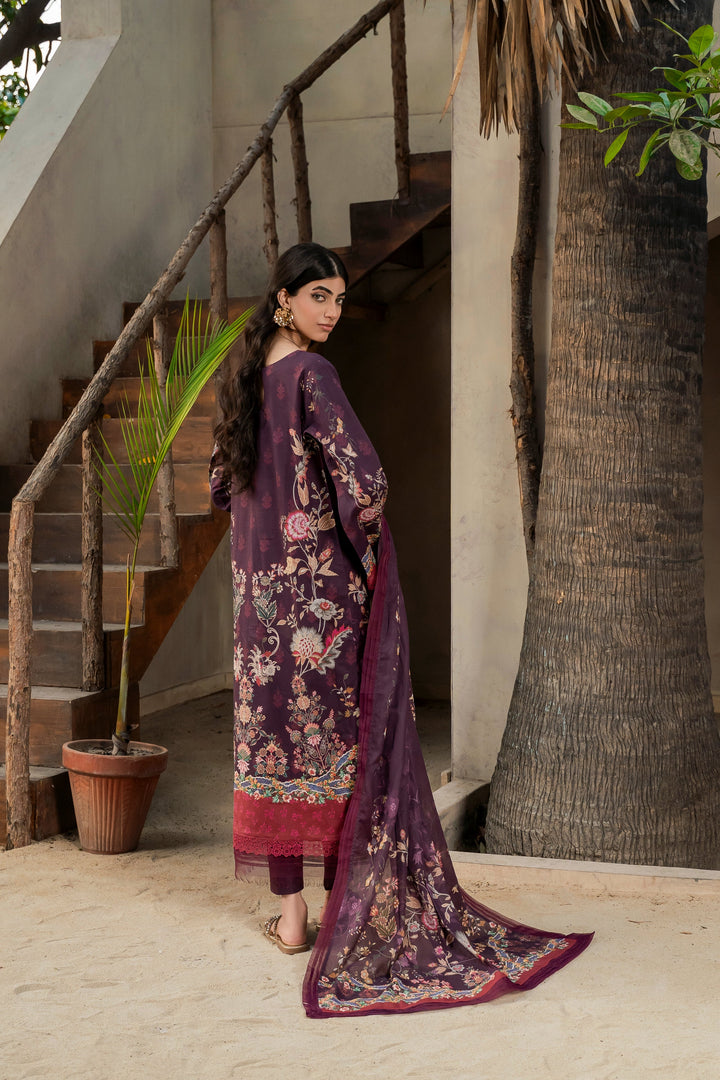 Eastka Latest Collection 2025 | Eastka 