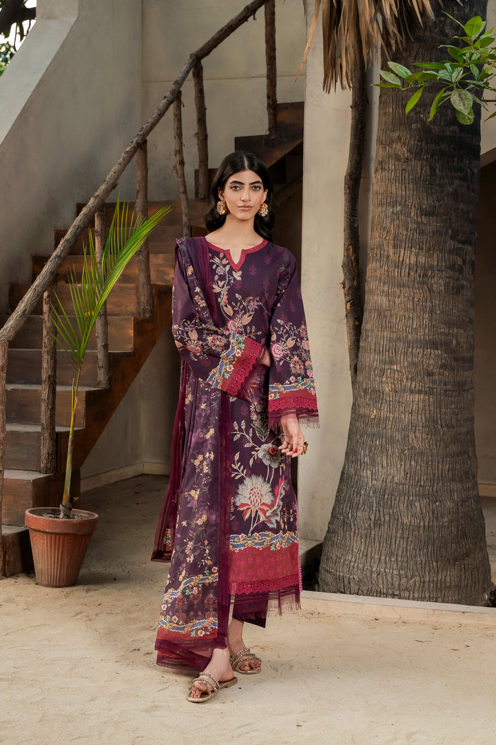 Eastka Latest Collection 2025 | Eastka 