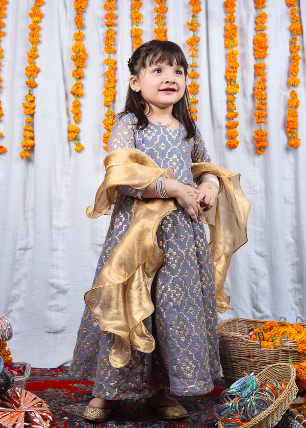 Canvas Kids - Grey Gold Hue Festive Wear Dress For Girls