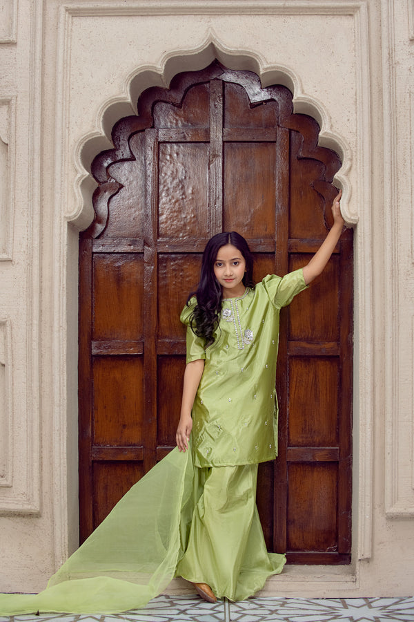 Desi Stitch - Jasmine  sharara set  Eastern Wear For Girls