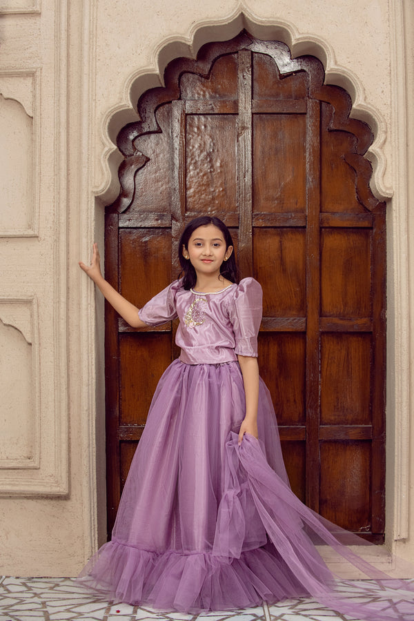 Desi Stitch - Lehnga choli  Eastern Wear For Girls