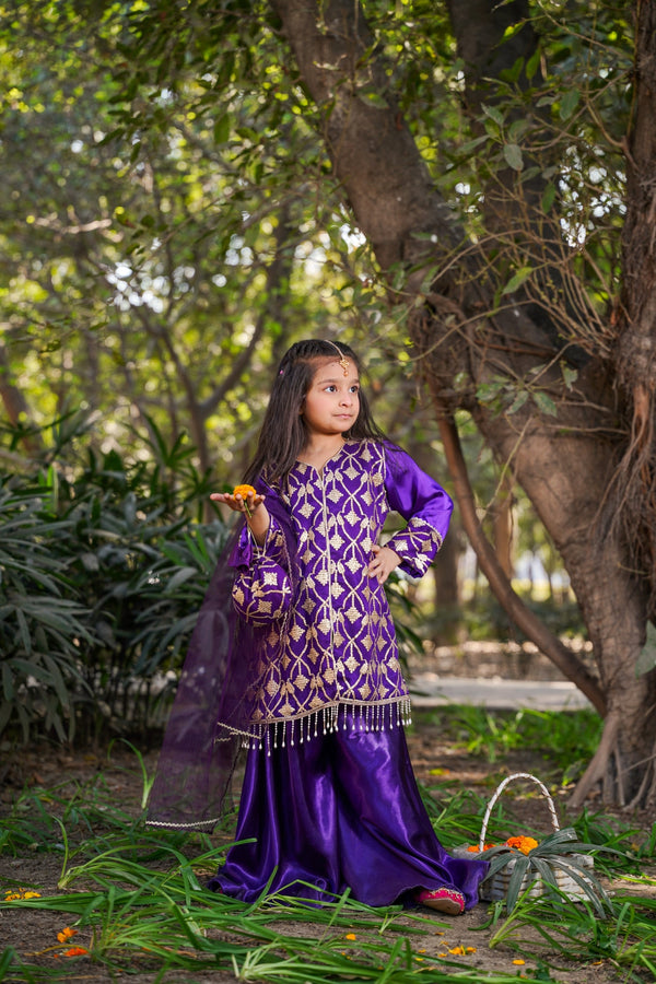 Fairy Tale - Basanti Festive Wear Dress