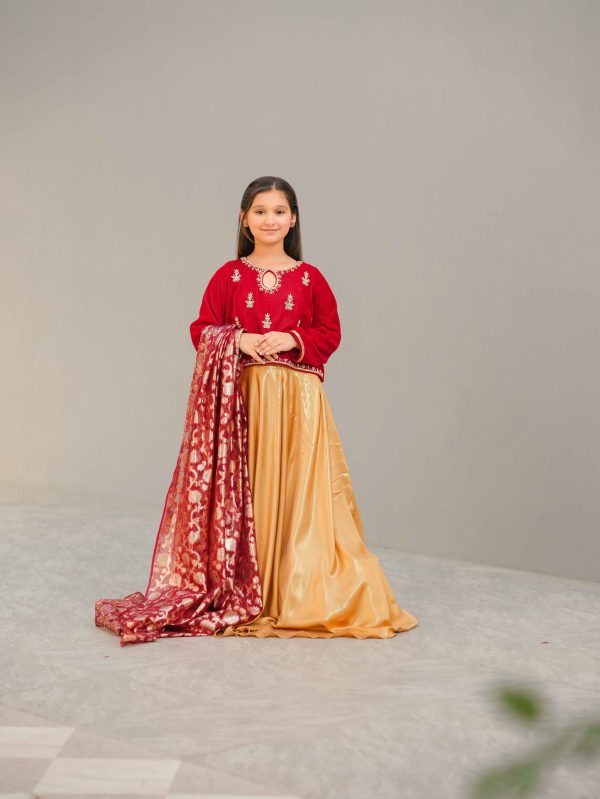 Desi Stitch - Rang-e-Rasham  Eastern Wear For Girls